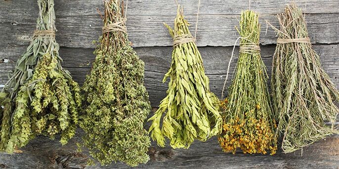 Herbes pour traiter l'arthrose de l'épaule